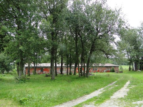 Foto 11